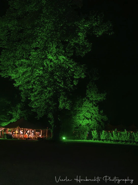 Lions Sint-Joris-Winge — evenement
